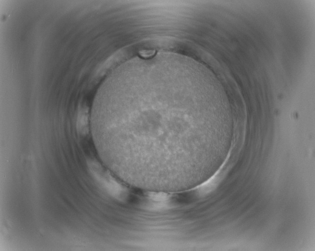 X0000081370144200701252023