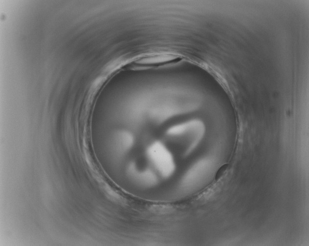 X0000081370145200701252023