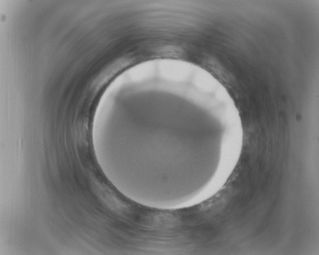 X0000081370146200701252023