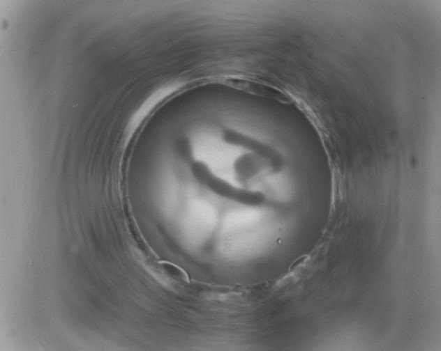 X0000081370147200701252023