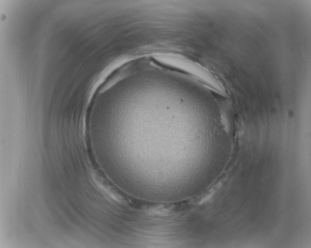 X0000081370148200701252023