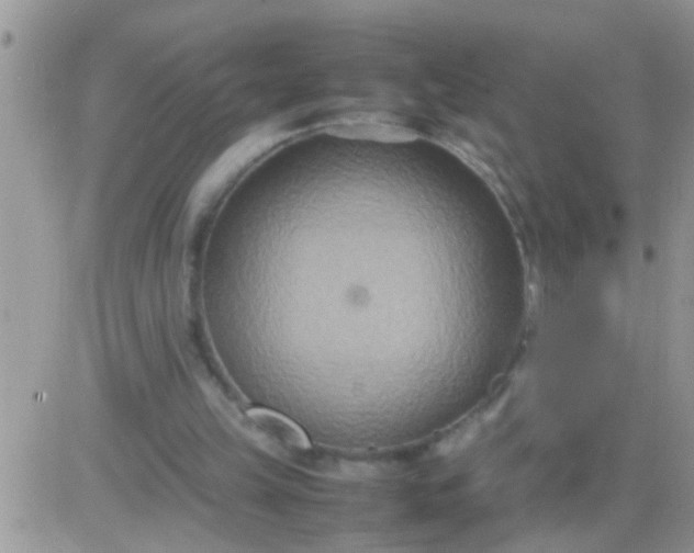 X0000081370149200701252023