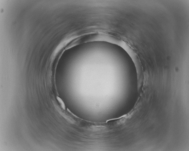 X0000081370150200701252023