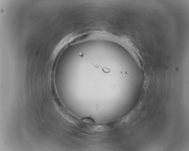 X0000081370151200701252023