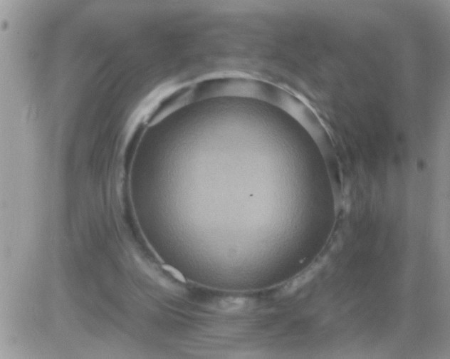 X0000081370152200701252023