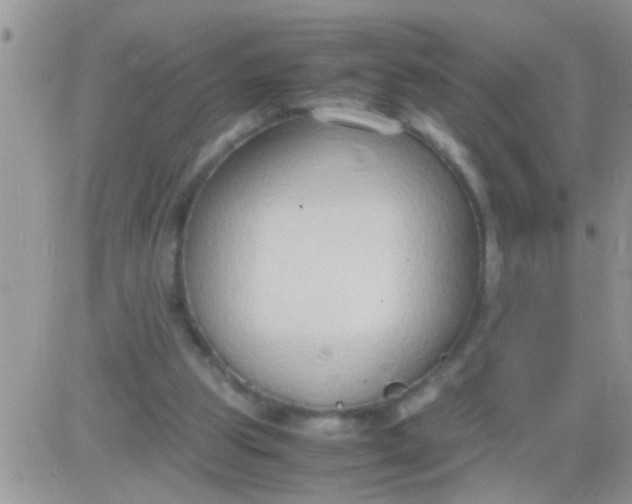 X0000081370153200701252023