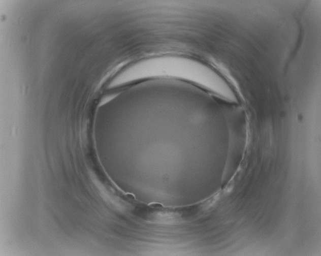 X0000081370154200701252023