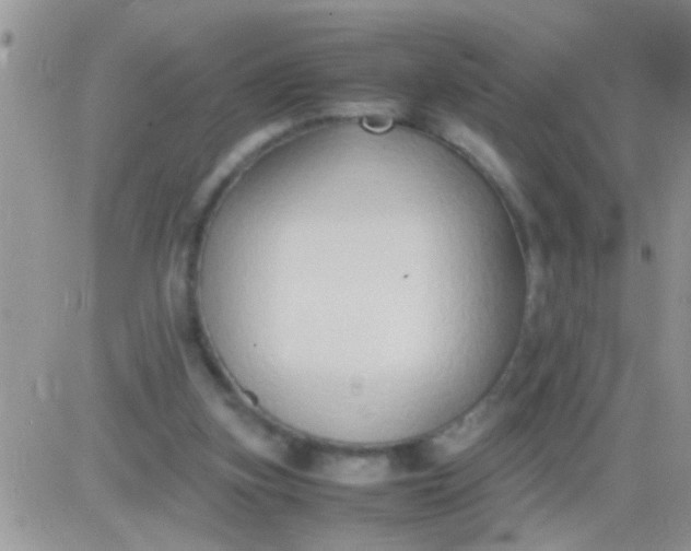 X0000081370155200701252023