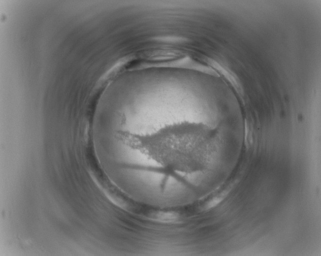 X0000081370157200701252023