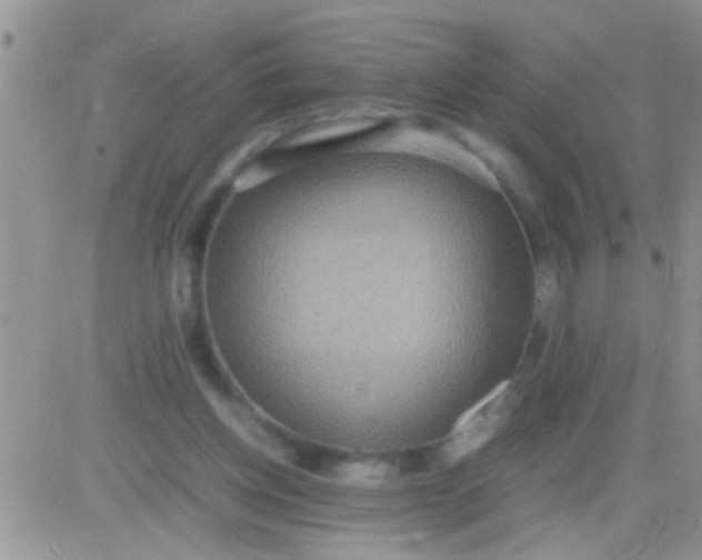 X0000081370158200701252023