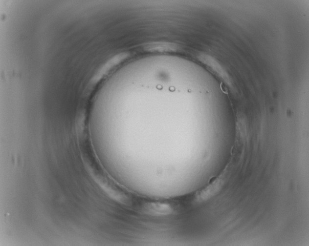 X0000081370159200701252023