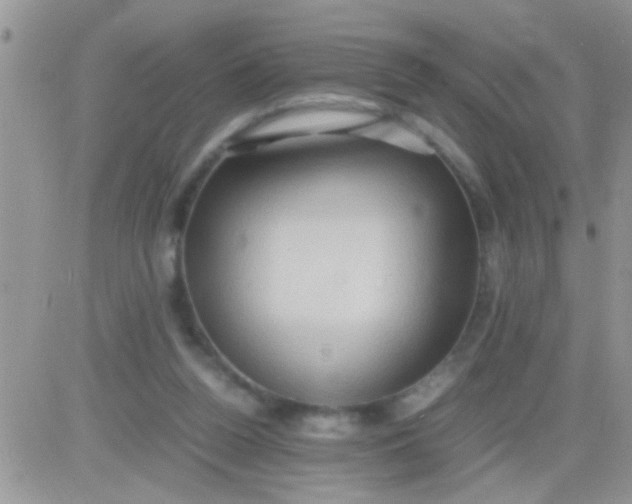 X0000081370160200701252023