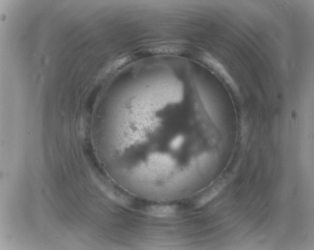 X0000081370161200701252023