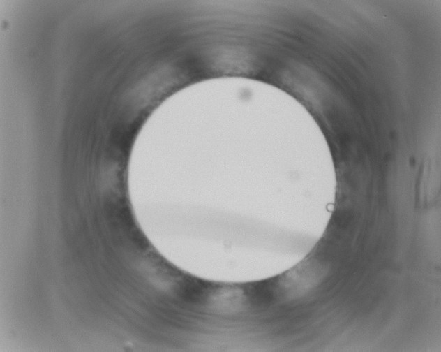 X0000081370162200701252023