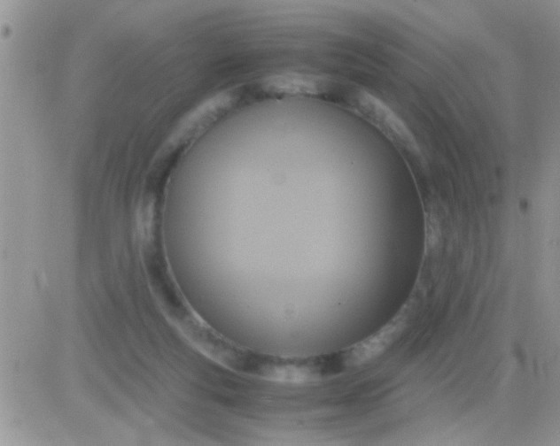 X0000081370163200701252023