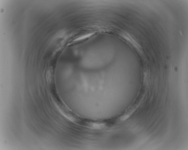 X0000081370165200701252023