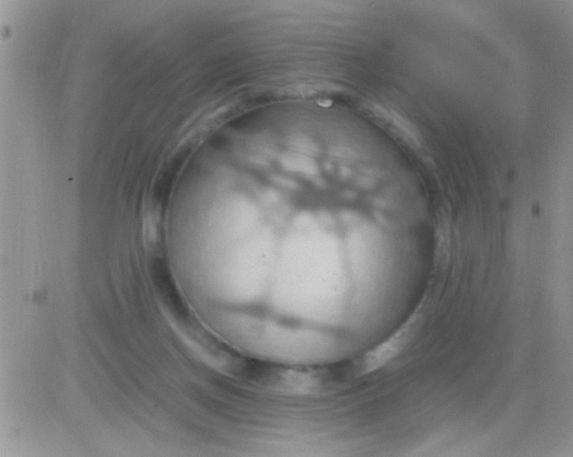 X0000081370166200701252023