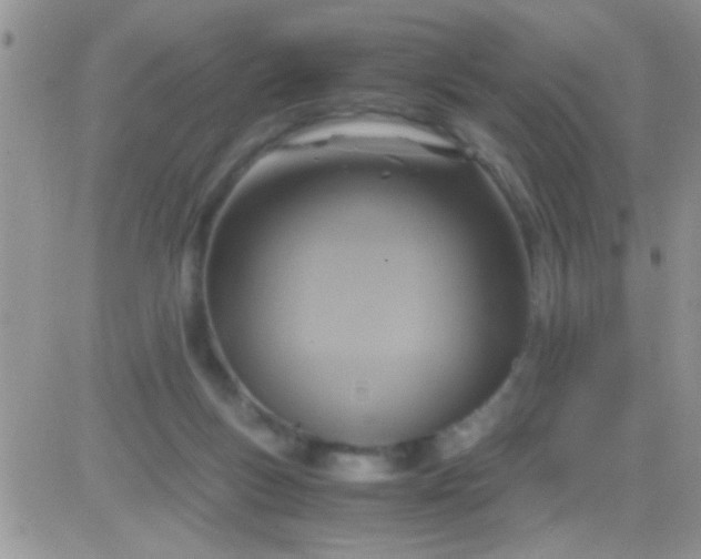 X0000081370167200701252023