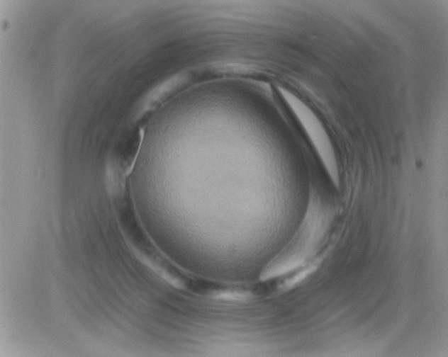 X0000081370168200701252023