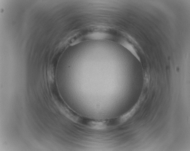 X0000081370170200701252023