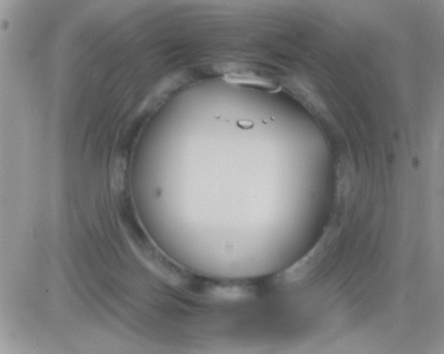 X0000081370171200701252023