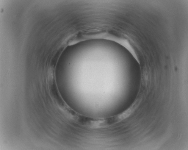 X0000081370172200701252023