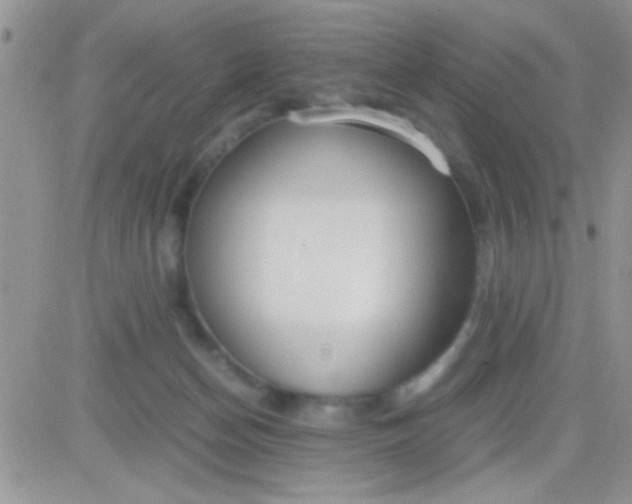 X0000081370174200701252023