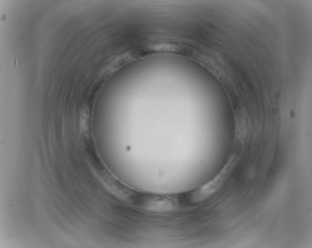 X0000081370175200701252023