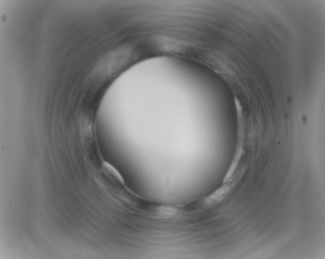 X0000081370176200701252023