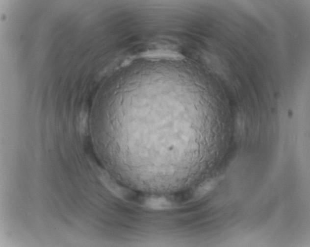 X0000081370177200701252023