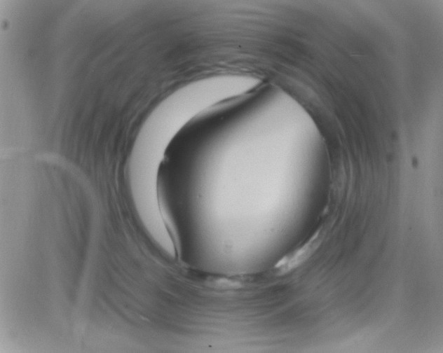 X0000081370180200701252023