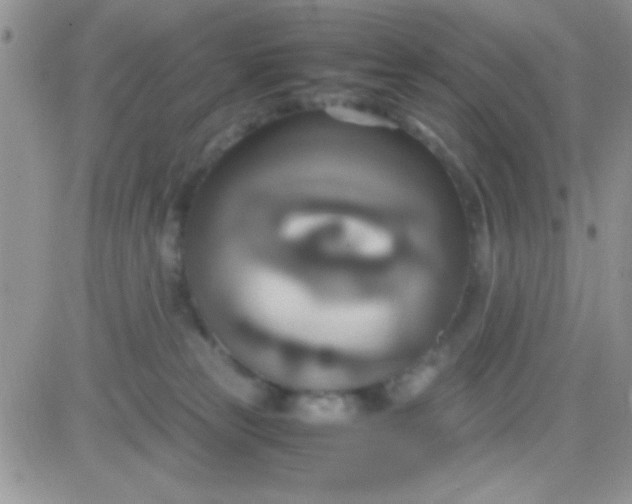 X0000081370181200701252023