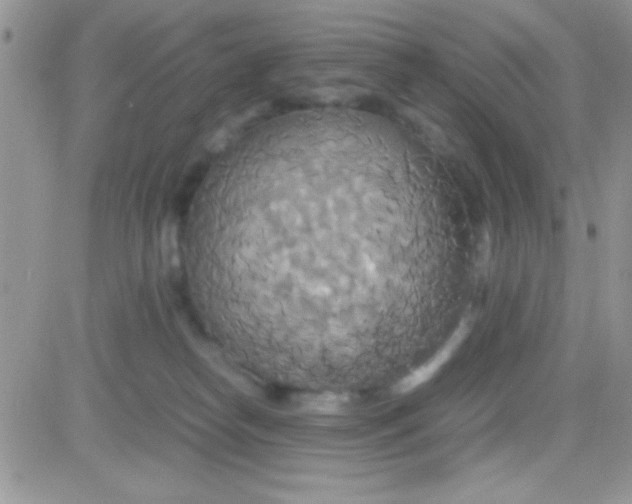 X0000081370182200701252023