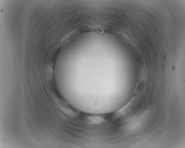 X0000081370183200701252023