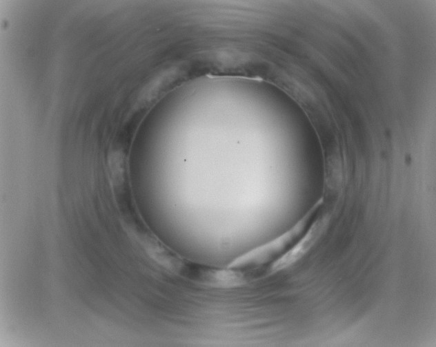 X0000081370184200701252023