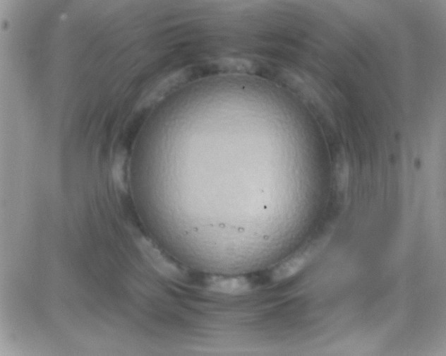 X0000081370185200701252023