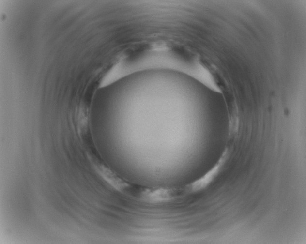 X0000081370186200701252023