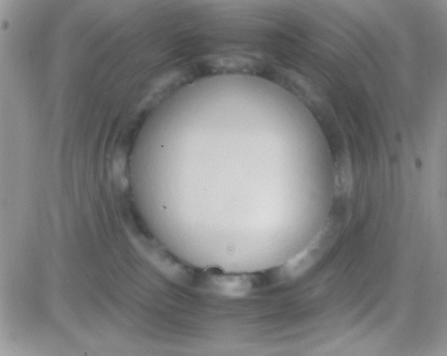 X0000081370187200701252023