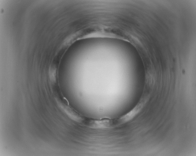 X0000081370188200701252023