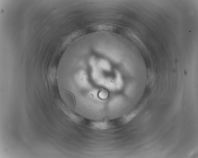 X0000081370189200701252023