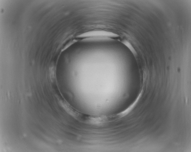 X0000081370190200701252023