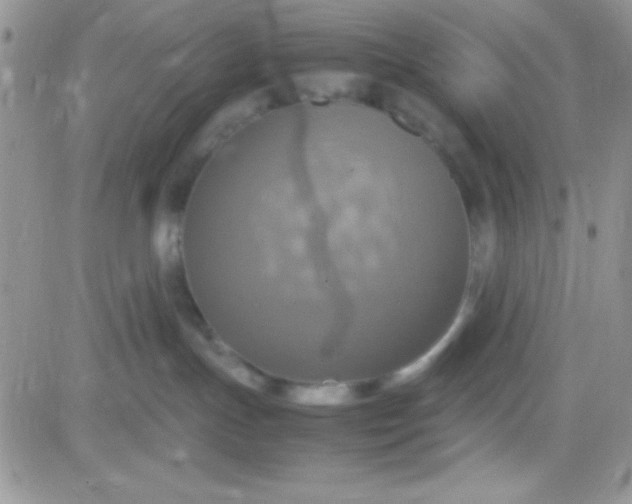 X0000081370191200701252023