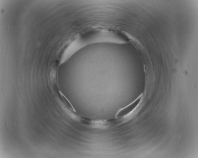 X0000081370192200701252023