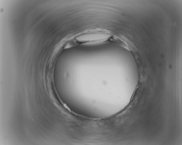 X0000081370193200701252023