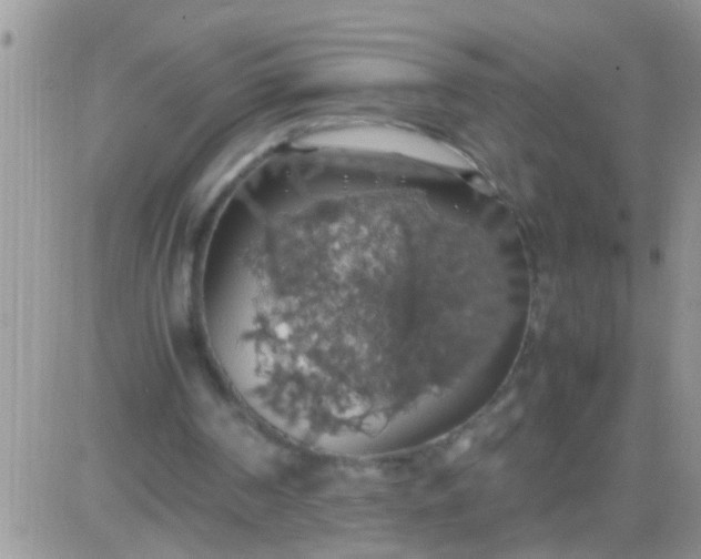 X0000081370194200701252023