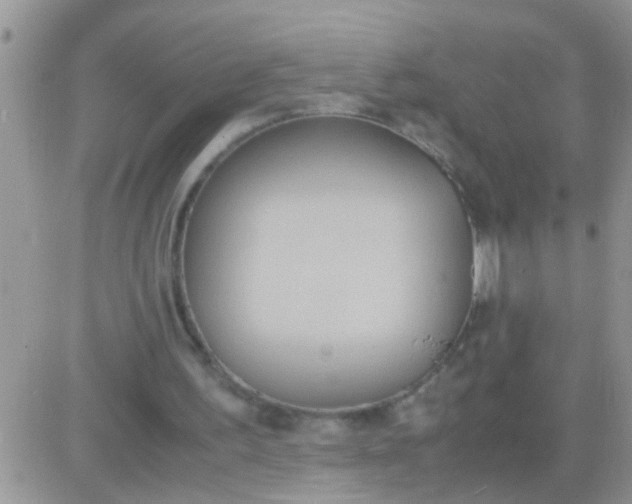 X0000081370195200701252022