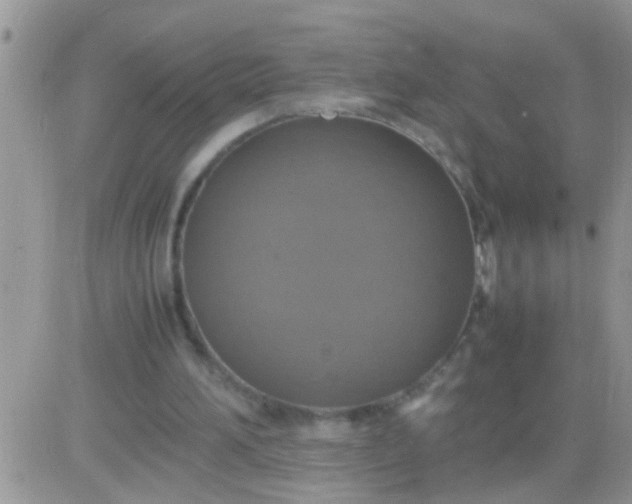 X0000081370196200701252022