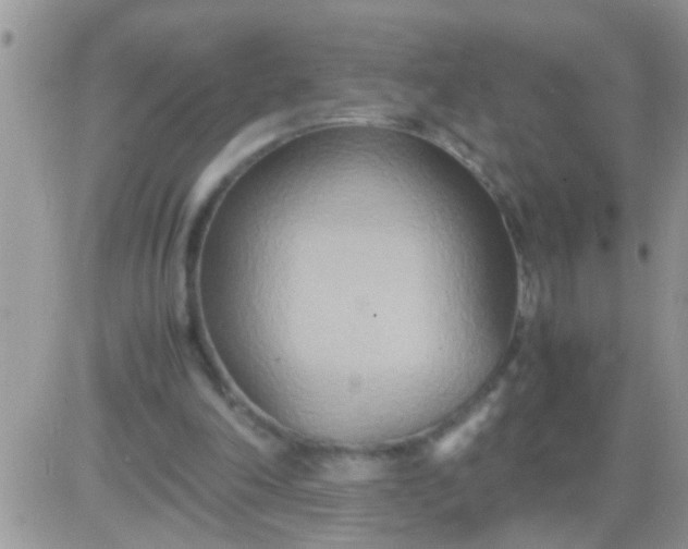 X0000081370198200701252022