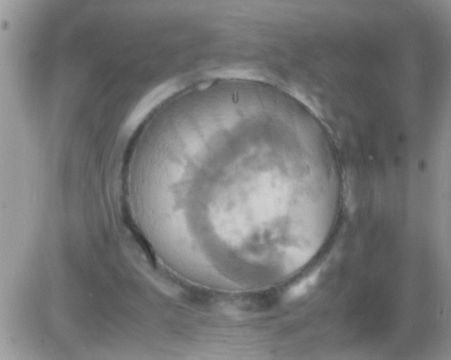 X0000081370199200701252022