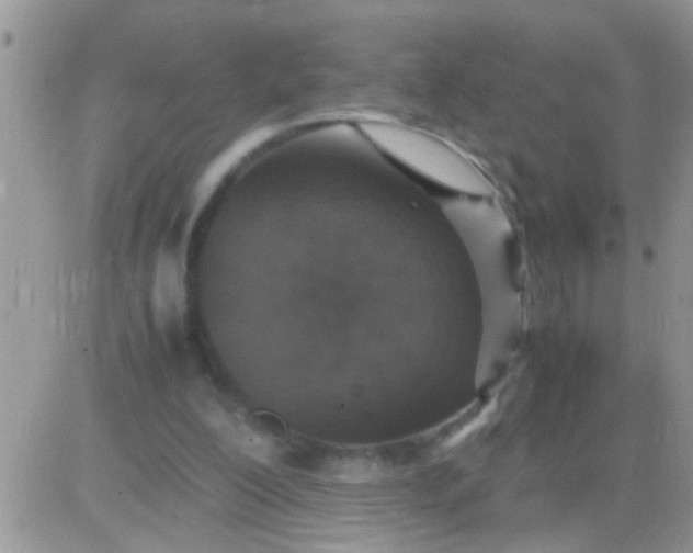 X0000081370200200701252022